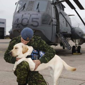 Military Service Dog
